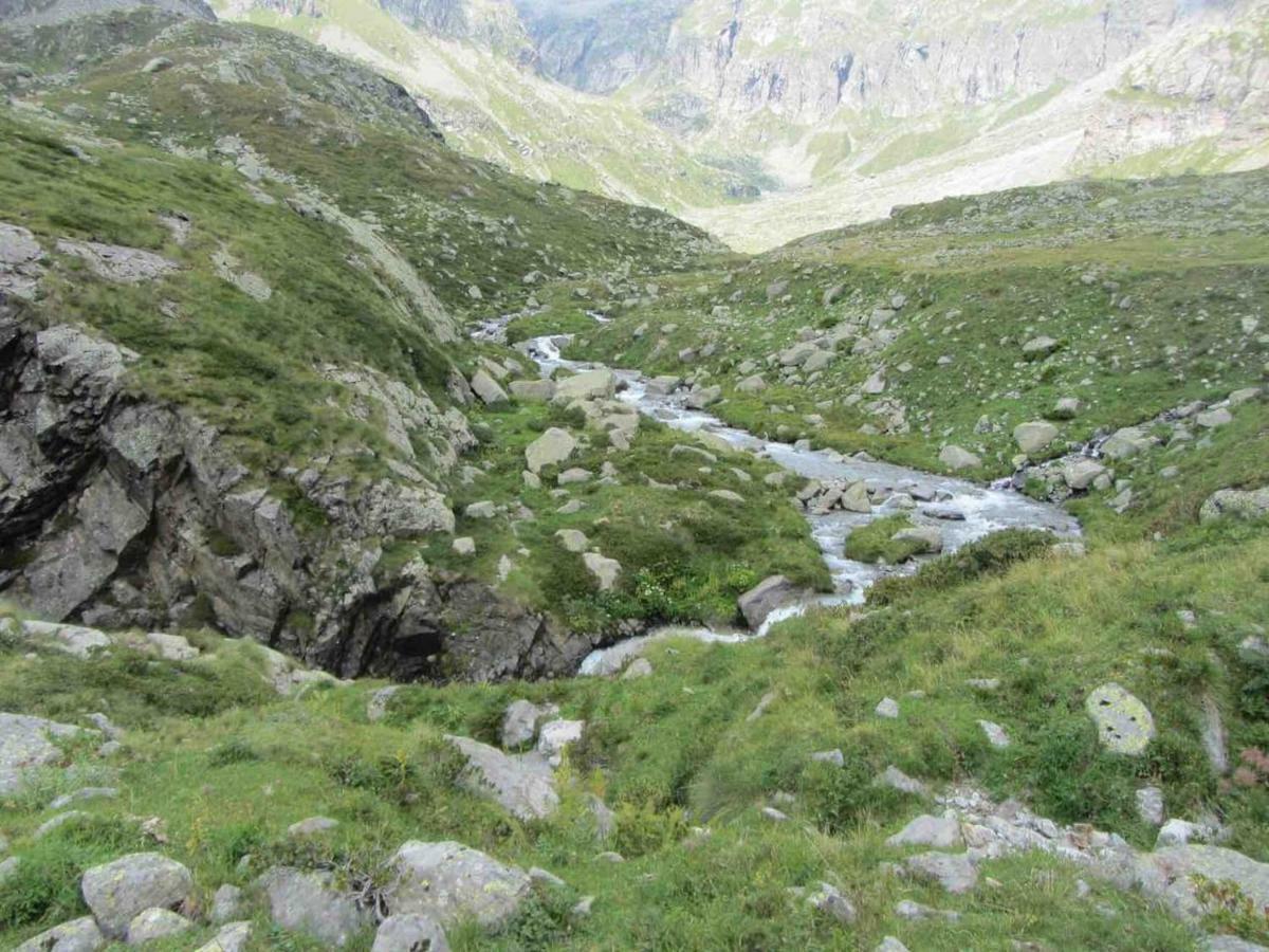 Bilocale A Due Passi Dal Gran Paradiso Locana Eksteriør billede