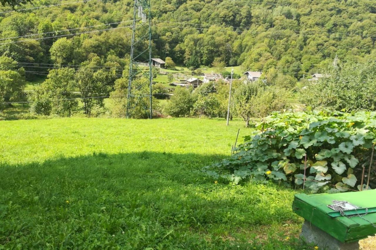Bilocale A Due Passi Dal Gran Paradiso Locana Eksteriør billede